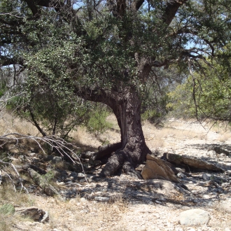 TweedyRanch (35)